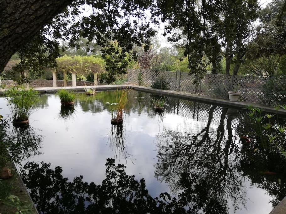 L'Astre Villa Loupian Dış mekan fotoğraf