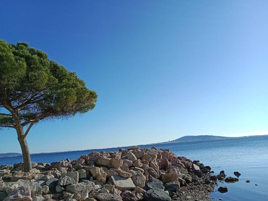 L'Astre Villa Loupian Dış mekan fotoğraf